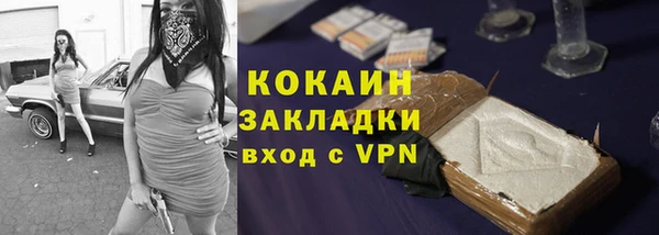 молекула духа Волоколамск